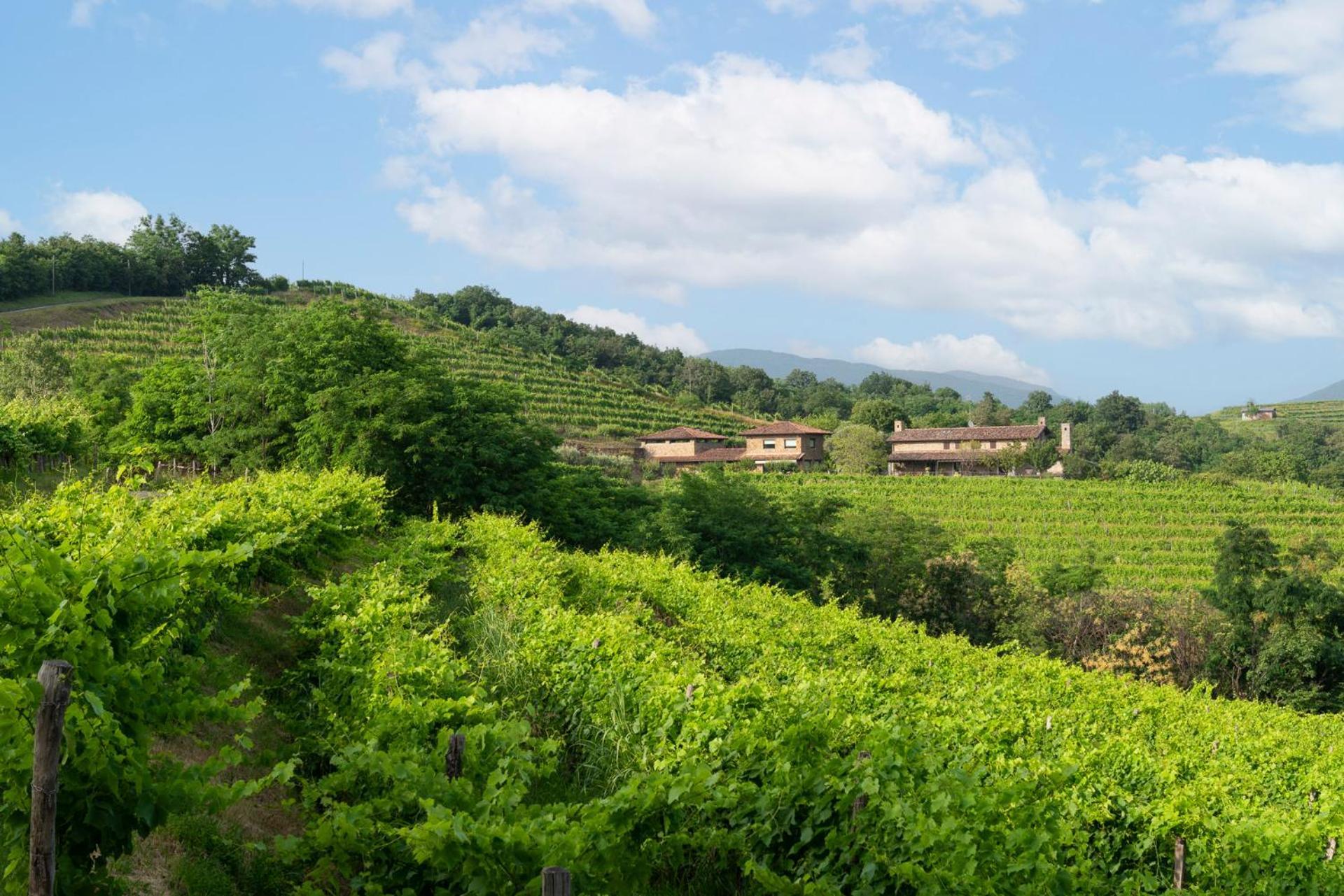 Lis Fadis Wine Relais Villa ชิวีดาเล เดล ฟรีอูลี ภายนอก รูปภาพ